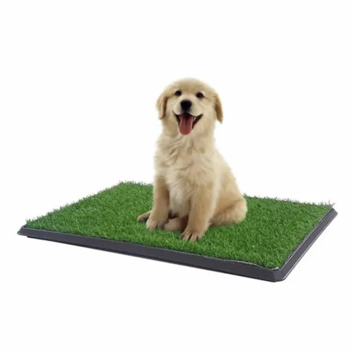 Pet Park Mini Yavru Kopek Tuvalet Egitimi 3 500x500 2 Pet Park Mini Yavru Köpek Tuvalet ve Eğitim Çiti najmaddin.com aynı zamanda onun güvenle oynayabileceği bir eğitim merkezi görevi görür.47 cm * 34 cm * 3.8 cm ölçüleriyle özellikle yavru ve küçük ırk köpekler için tasarlanmıştır. İç ve dış mekanda kullanıma uygun olan bu çit