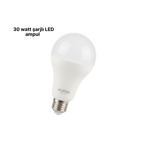 DL-2030 Şarjlı LED Ampul