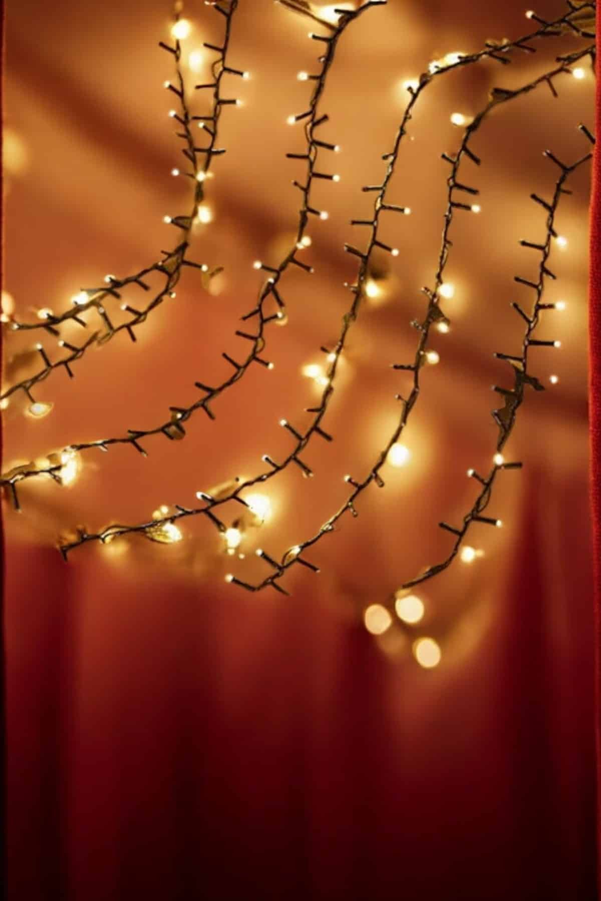 WhatsApp Gorsel 2025 01 16 Saat 00.28.58 D352451e Photoroom 700x1050 Led Işık 10 Metre Gün Işığı Parlak ve Doğal Ağaç Süsleme najmaddin.com aynı zamanda etkileyici bir atmosfer oluşturur. Parlak ve doğal ışık tonu